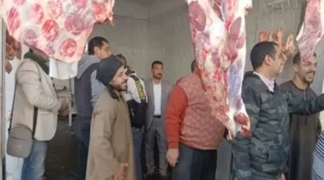 تغيرات في أسعار الدواجن والأسماك بسوهاج وكيلو اللحم البلدي يسجل 350 جنيها